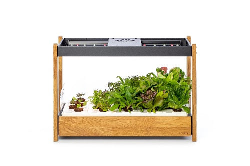 The Click & Grow 25 Smart Garden