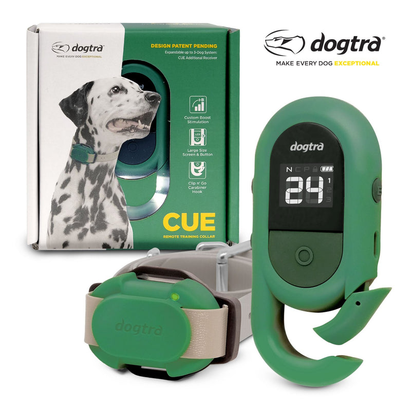 Dogtra CUE Dog Training Collar