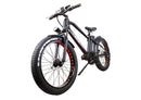 Nakto Super Cruiser 26", electric bike / Wellbots