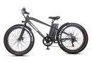 Nakto Fat Tire Cruiser 26", electric bike / Wellbots