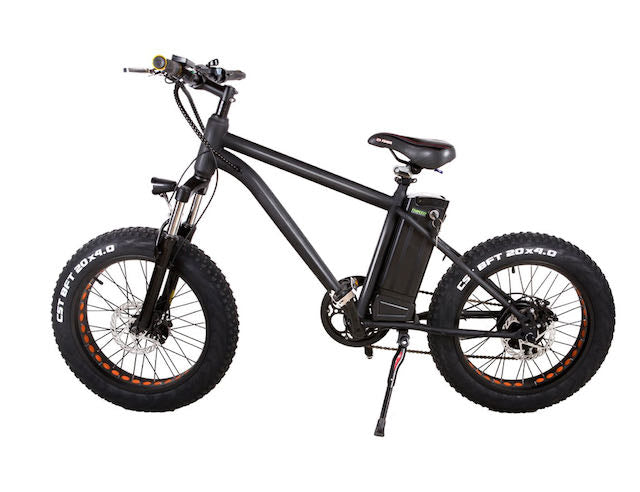 Nakto Mini-Cruiser 20", electric bike / Wellbots