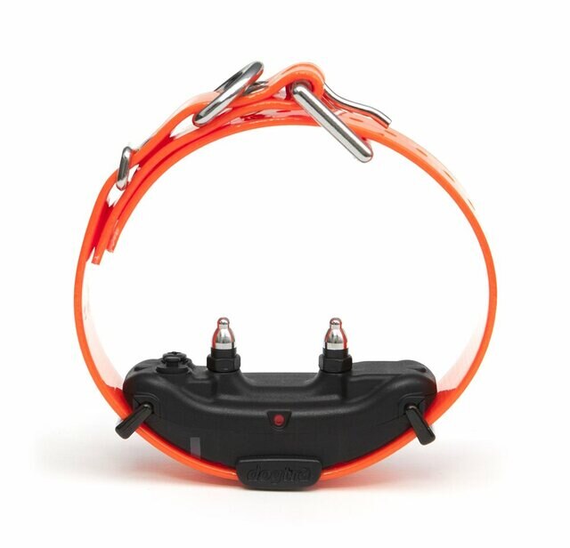 Collar de entrenamiento remoto expandible para 2 perros con receptor adicional Dogtra 2300NCP de 3/4 de milla