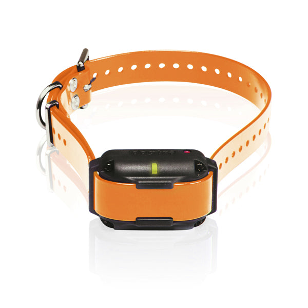 Collar de entrenamiento remoto expandible para 2 perros con receptor adicional Dogtra 2300NCP de 3/4 de milla