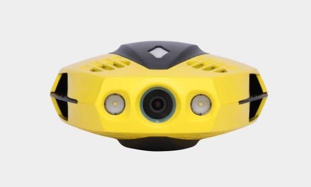 Chasing Dory Underwater Drone Drones Chasing