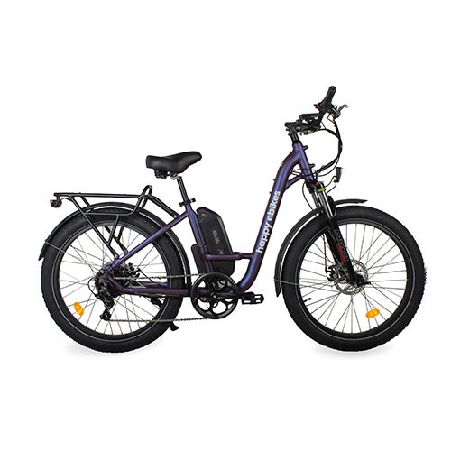 Happy Camper II Step-Thru Electric Bike