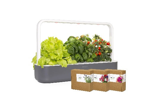 Click & Grow The “Herbs go with everything” Kit