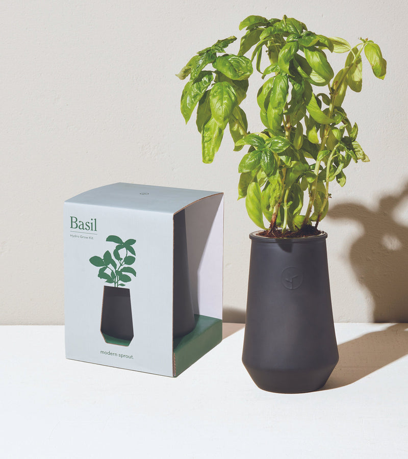 Modern Sprout Tapered Tumbler 2 Pack, Mint + Basil