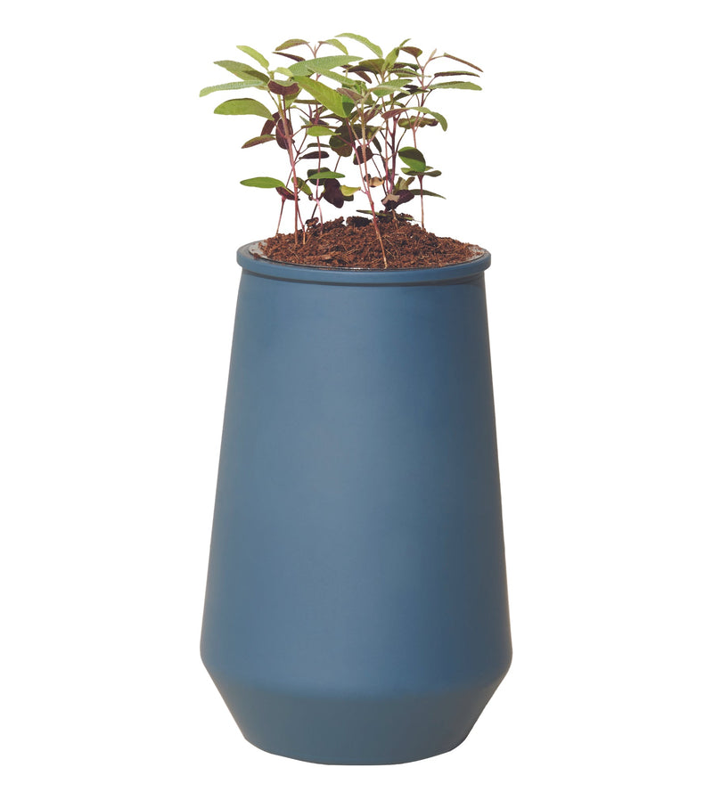 Modern Sprout Tapered Tumbler 2 pack, Lavender + Eucalyptus