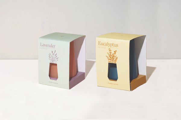 Modern Sprout Tapered Tumbler 2 pack, Lavender + Eucalyptus