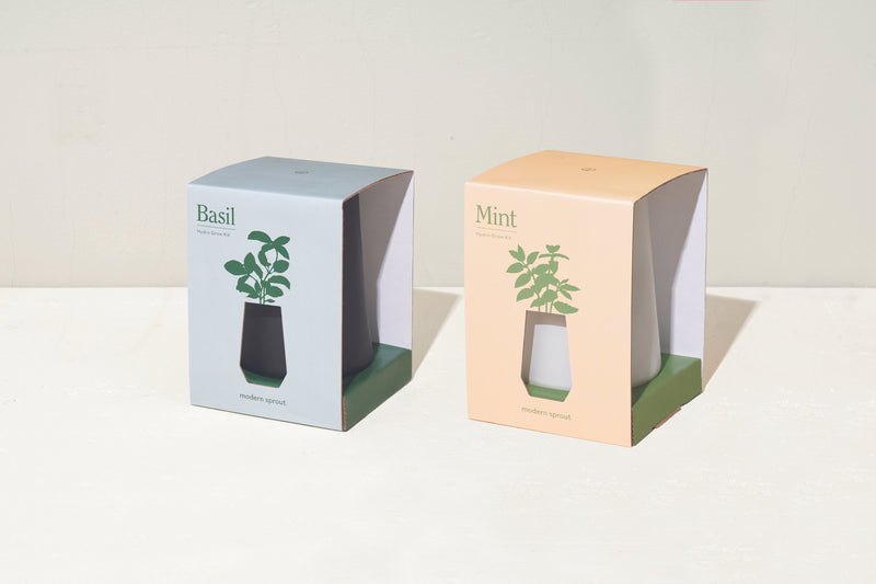 Modern Sprout Tapered Tumbler 2 Pack, Mint + Basil