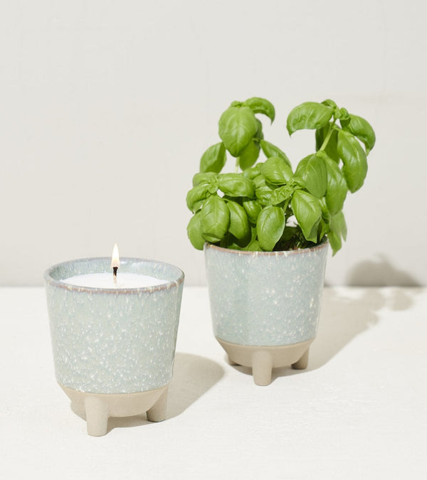 Modern Sprout Glow and Grow - Herb Garden