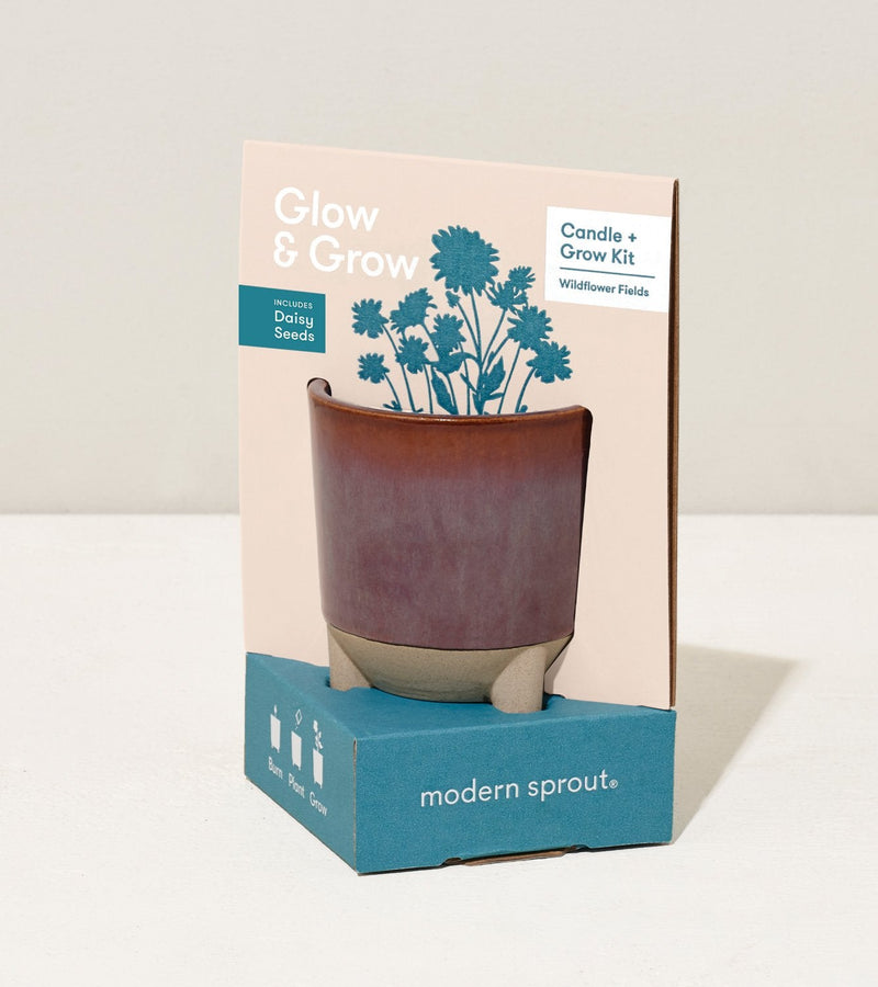 Modern Sprout Glow and Grow - Wildflower Fields