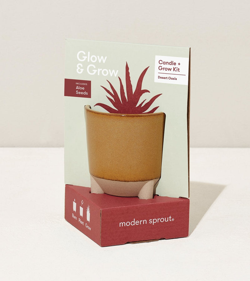 Modern Sprout Glow and Grow - Desert Oasis