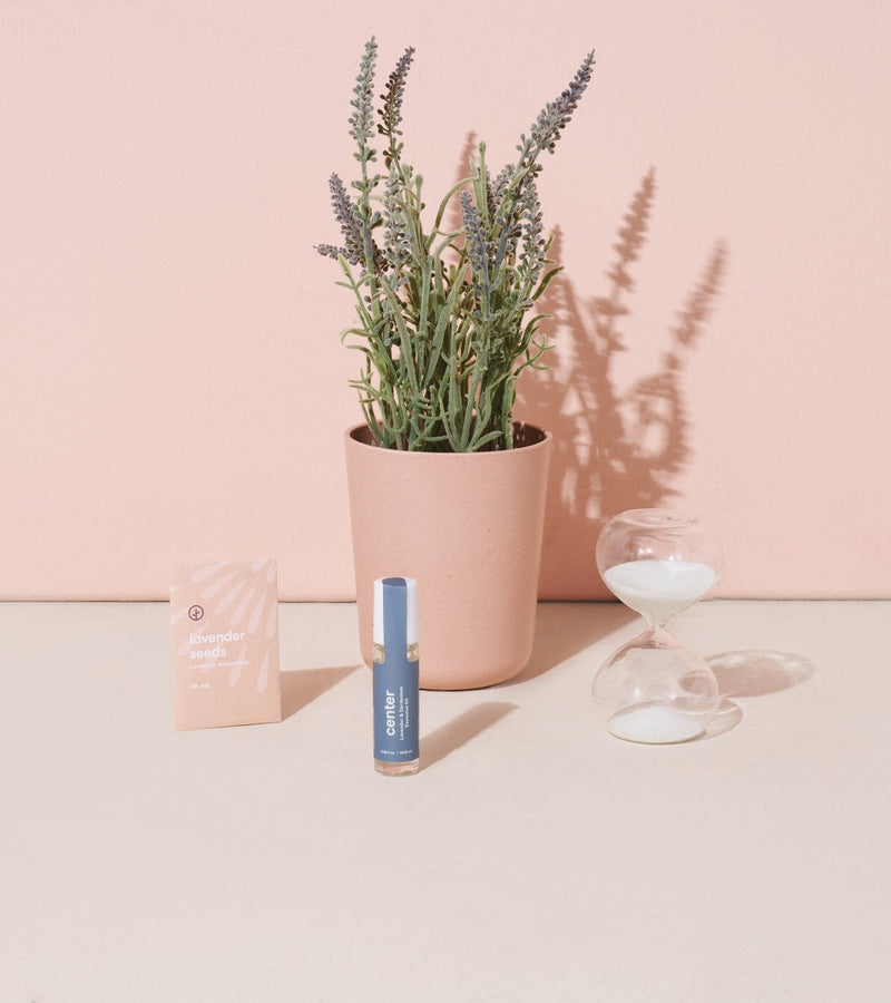 Modern Sprout Seek Peace - Mindful Meditation Kit