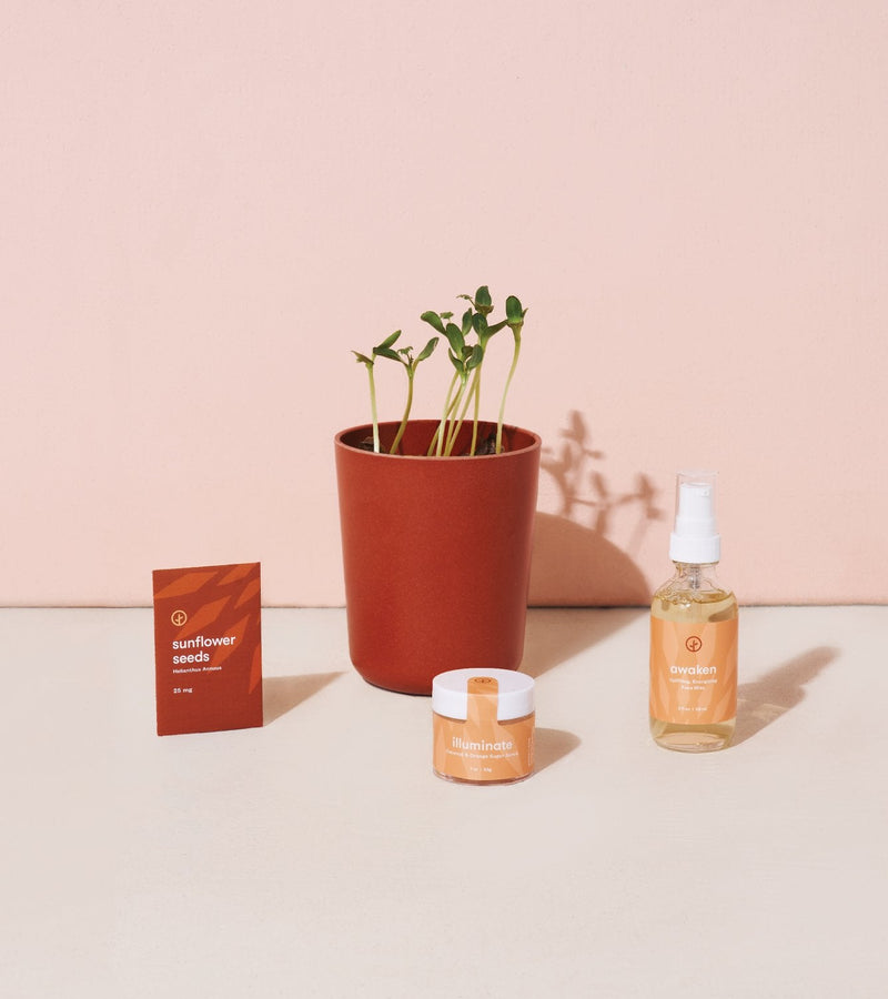 Modern Sprout Shine Bright - Radiant Positivity Kit