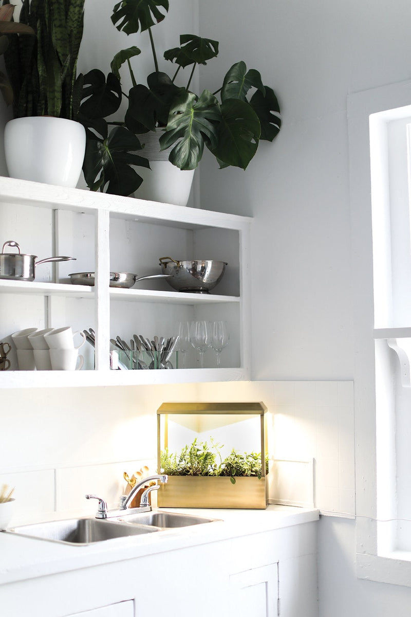 Modern Sprout Smart Growhouse