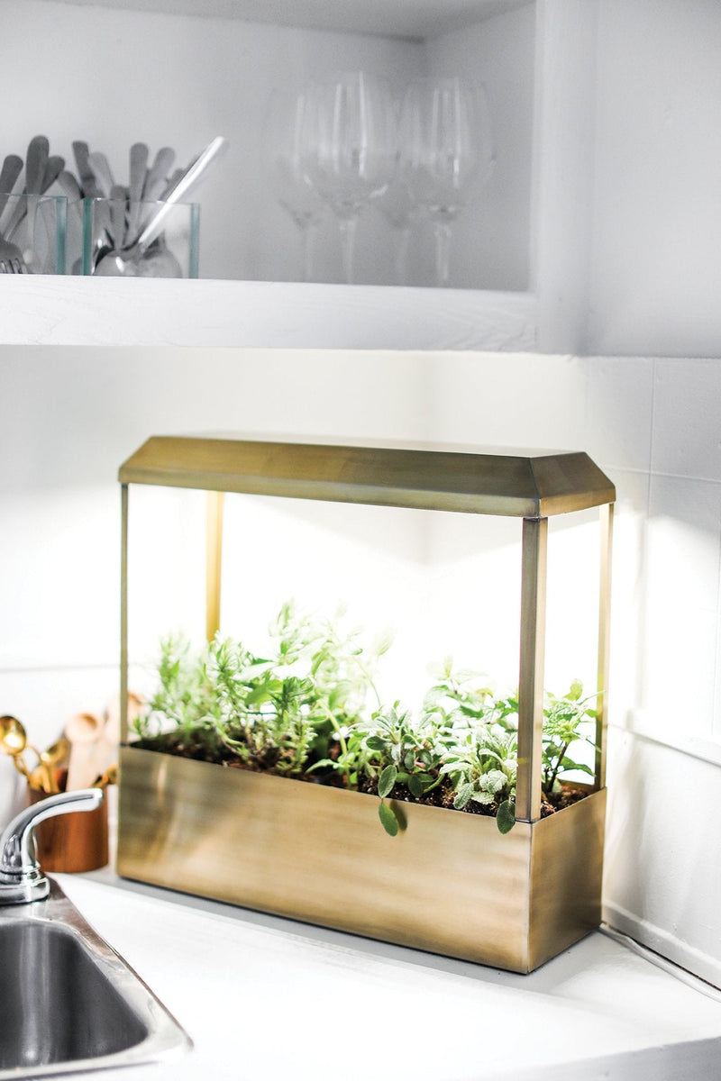 Modern Sprout Smart Growhouse