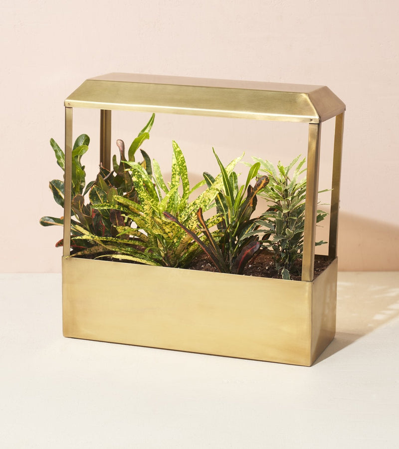 Modern Sprout Smart Growhouse