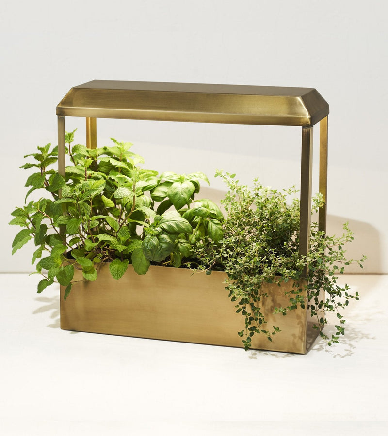 Modern Sprout Smart Growhouse