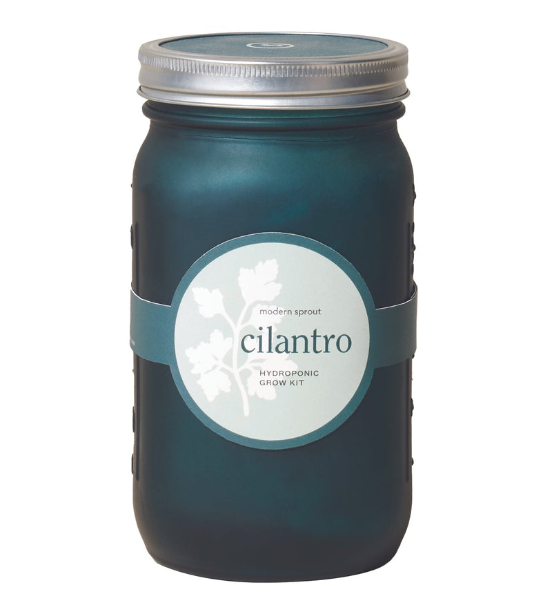 Modern Sprout Garden Jar 6pk (Basil, Cilantro, Mint, Parsley, Rosemary, Lavender)