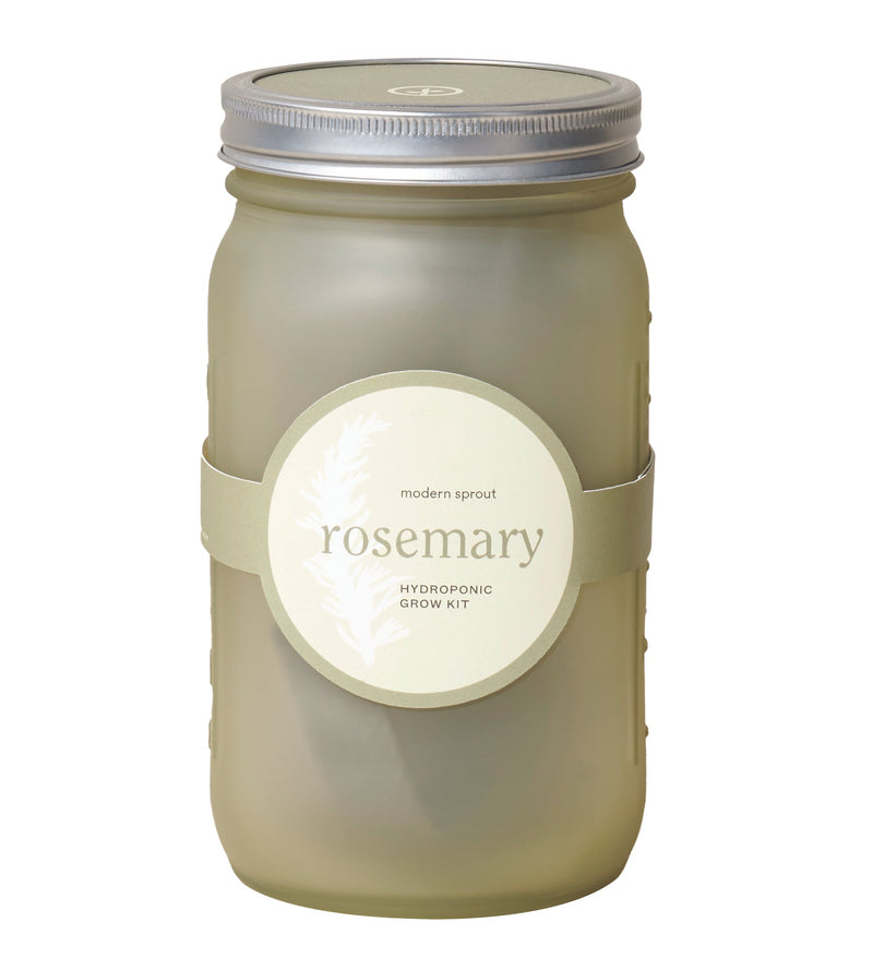 Modern Sprout Garden Jar 6pk (Basil, Cilantro, Mint, Parsley, Rosemary, Lavender)