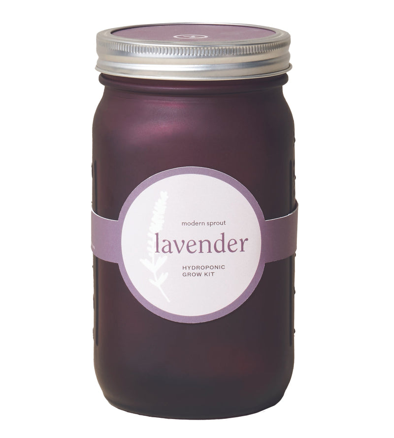 Modern Sprout Garden Jar 6pk (Basil, Cilantro, Mint, Parsley, Rosemary, Lavender)