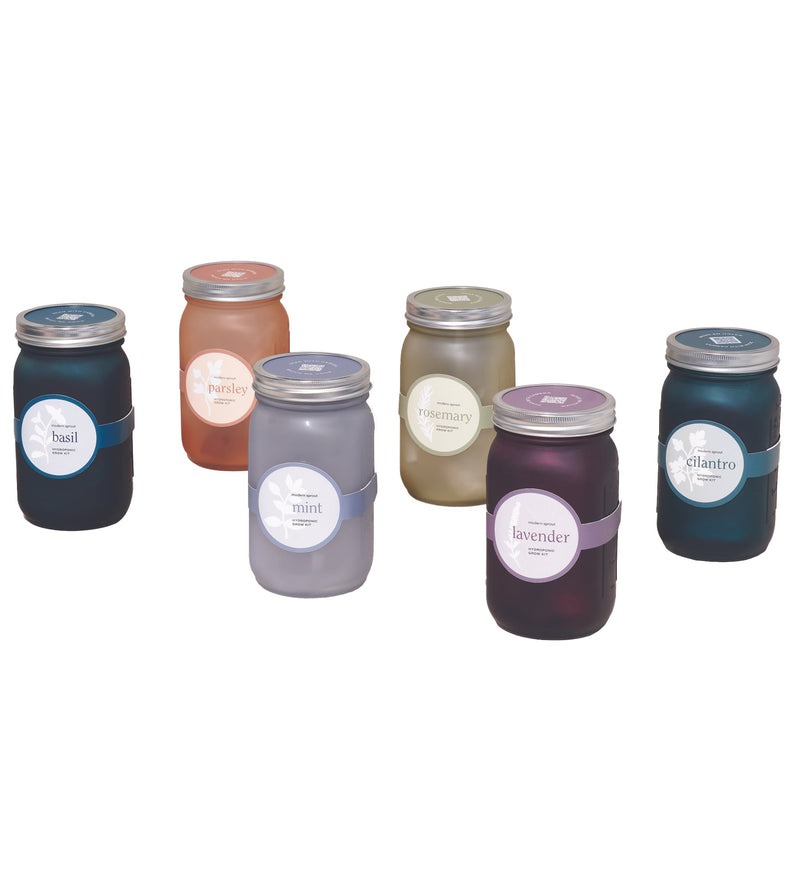Modern Sprout Garden Jar 6pk (Basil, Cilantro, Mint, Parsley, Rosemary, Lavender)