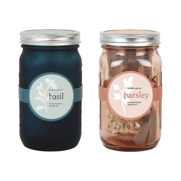 Modern Sprout Glass Jar Grow Set - Basil + Parsley