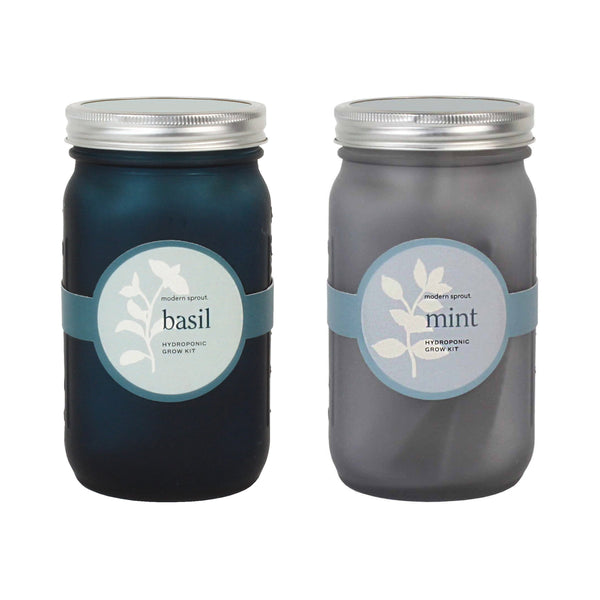 Modern Sprout Glass Jar Grow Set - Basil + Mint
