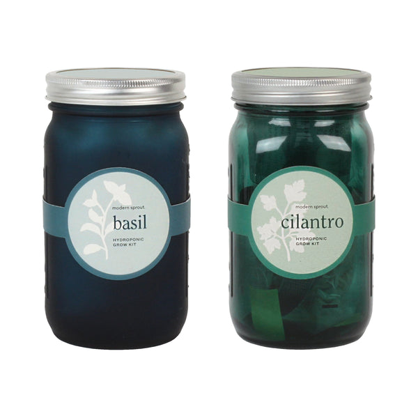 Modern Sprout Glass Jar Grow Set - Basil + Cilantro