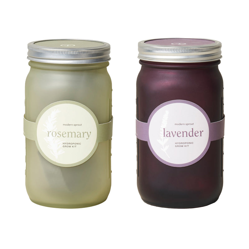 Modern Sprout Garden Jar Grow Set - Rosemary + Lavender