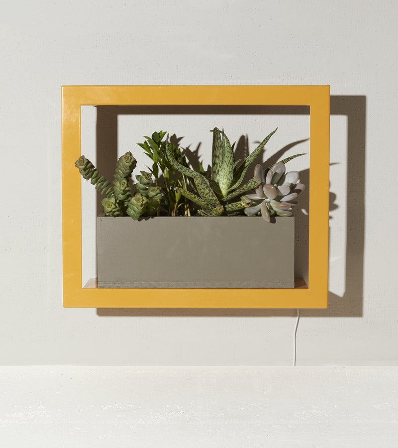 Modern Sprout Smart Standard Growframe