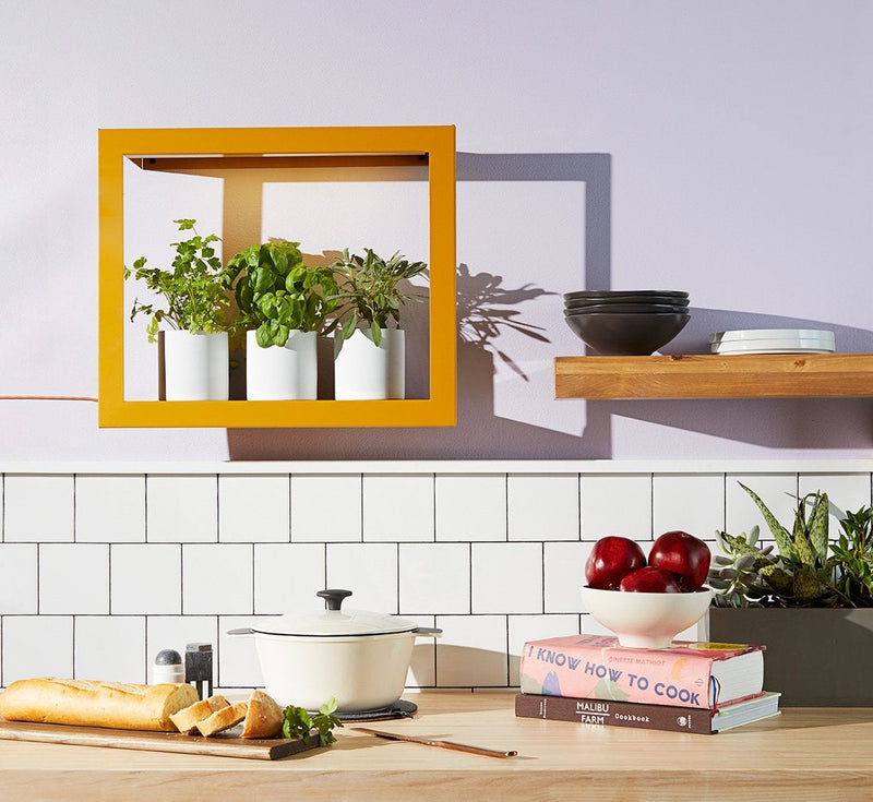 Modern Sprout Smart Standard Growframe - Turmeric