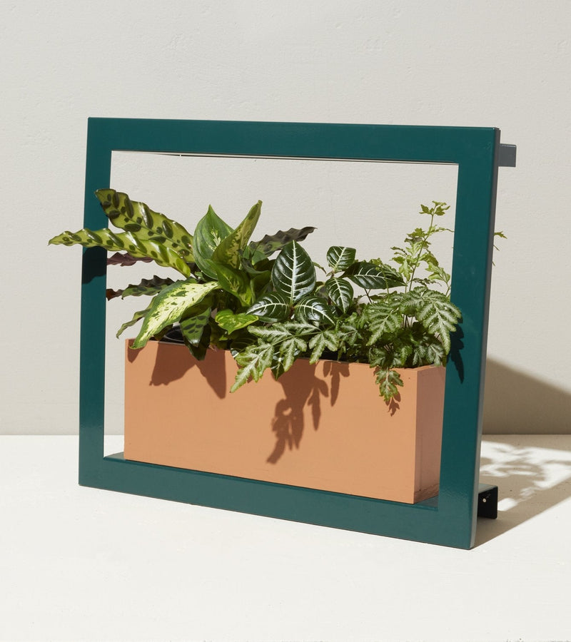 Modern Sprout Smart Standard Growframe