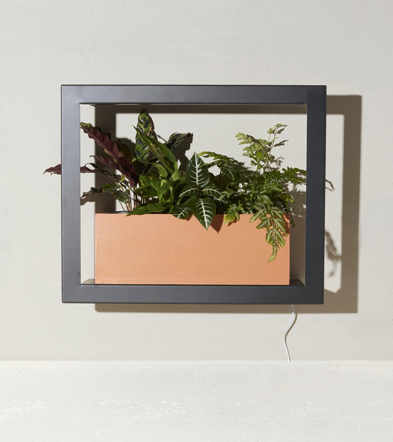 Modern Sprout Smart Standard Growframe - Matte Black