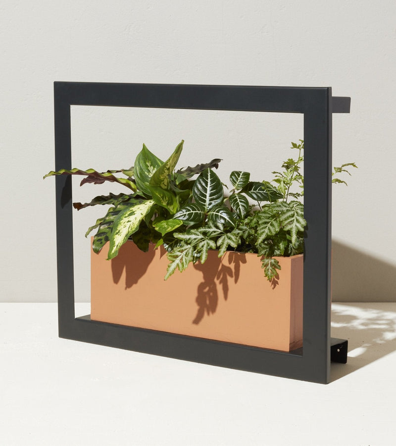 Modern Sprout Smart Standard Growframe
