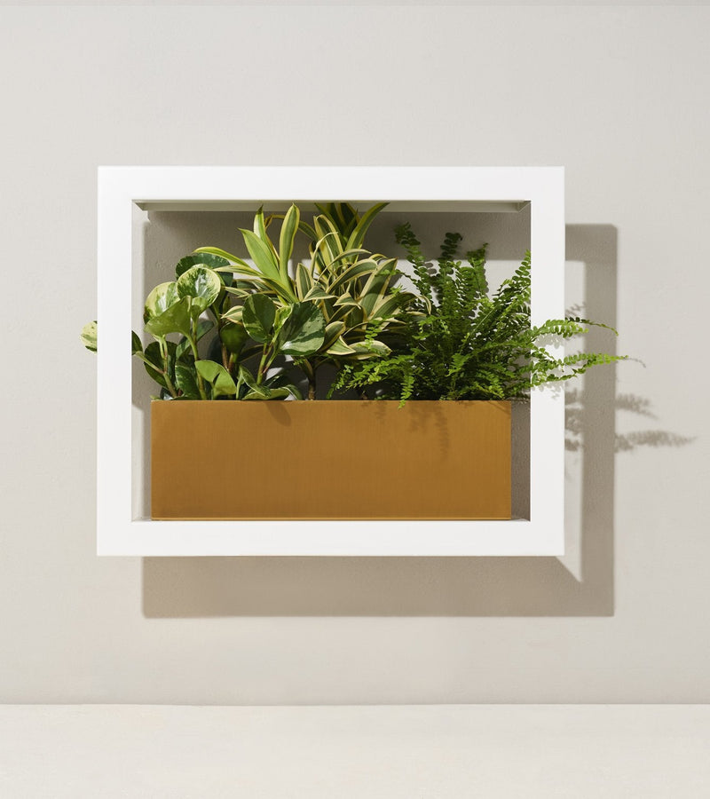 Modern Sprout Smart Standard Growframe - Matte White