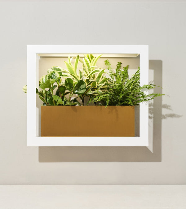 Modern Sprout Smart Standard Growframe - Matte White