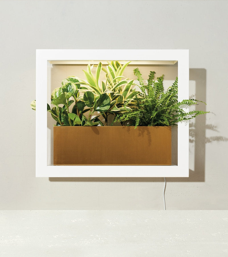 Modern Sprout Smart Standard Growframe