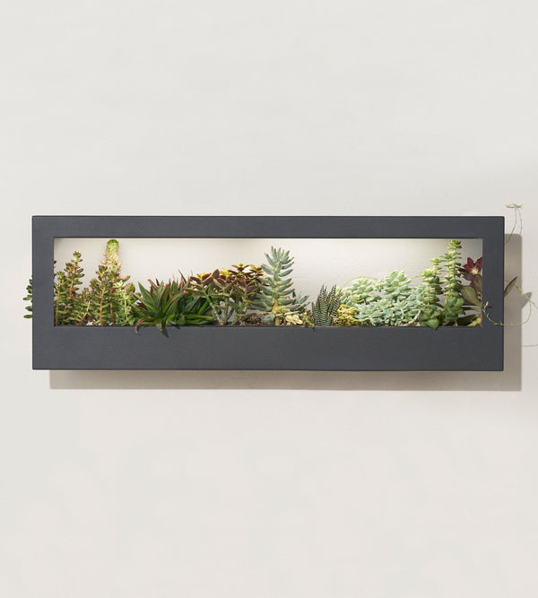 Modern Sprout Smart Landscape Growframe
