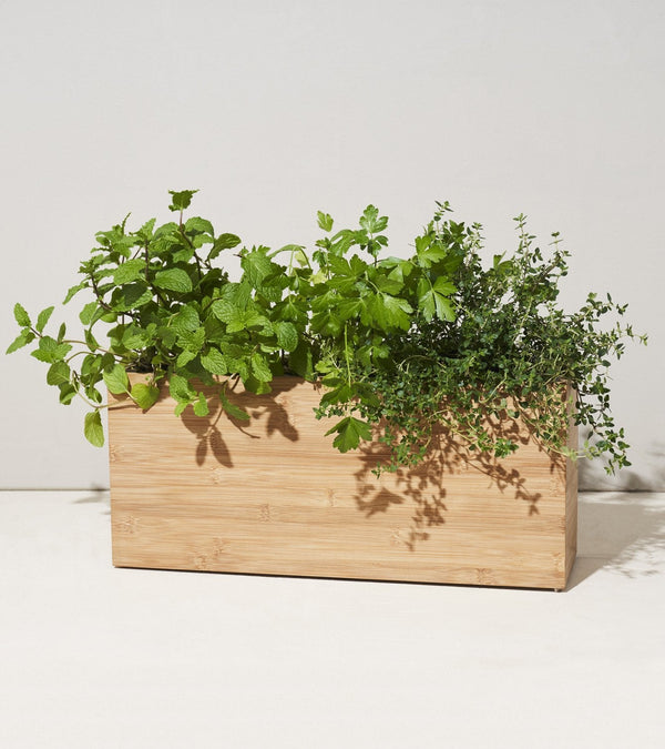 Modern Sprout Smart Hydroplanter