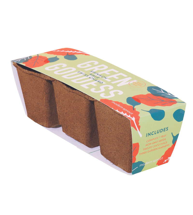 Modern Sprout Seed Starter Trio, 3pk (Green Goddess, Mighty Minis, Patio Punch)
