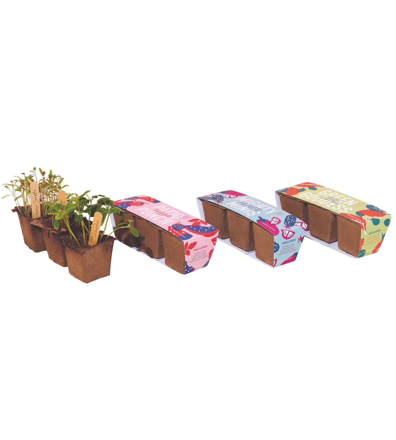 Modern Sprout Seed Starter Trio, 3pk (Green Goddess, Mighty Minis, Patio Punch)