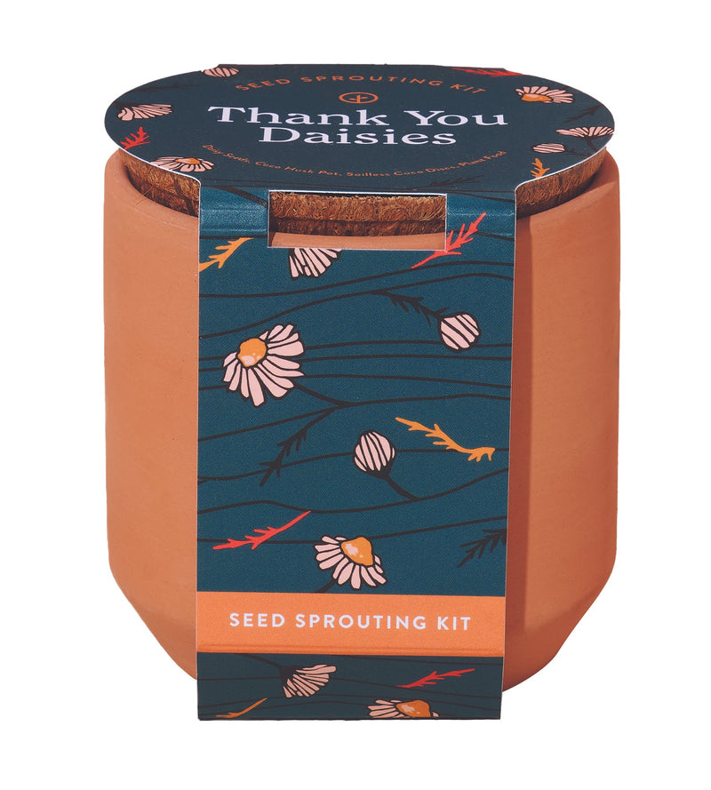 Modern Sprout Tiny Terracotta Grow Kit 5pk (Thank You Daisy, Live Well Lavender, Champagne Poppies, Curious Catnip, Good Luck Clover)