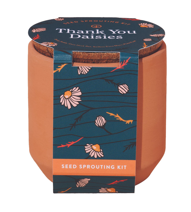 Modern Sprout Tiny Terracotta Kit 3pk (Live Well Lavender, Champagne Poppies, Thank you Daisy)