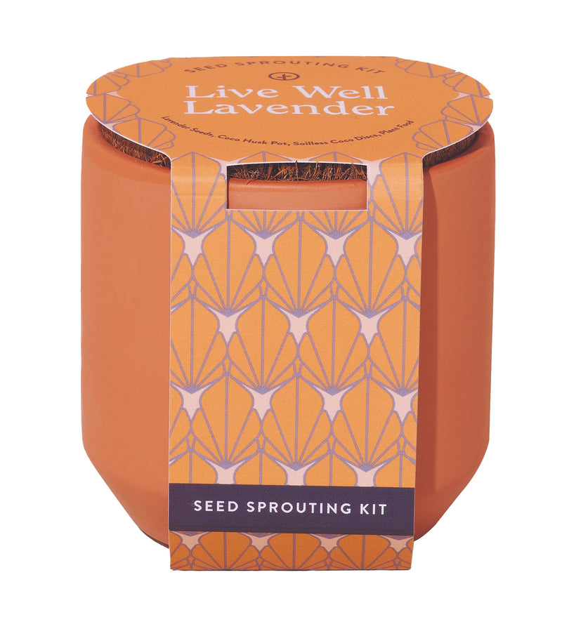 Modern Sprout Tiny Terracotta Kit 3pk (Live Well Lavender, Champagne Poppies, Thank you Daisy)