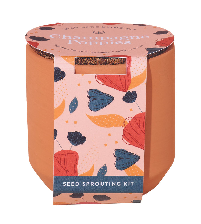 Modern Sprout Tiny Terracotta Kit 3pk (Live Well Lavender, Champagne Poppies, Thank you Daisy)