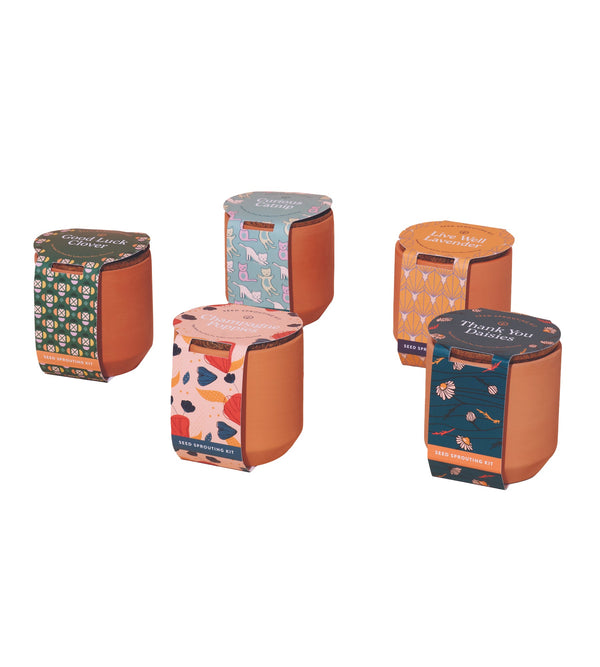 Modern Sprout Tiny Terracotta Grow Kit 5pk (Thank You Daisy, Live Well Lavender, Champagne Poppies, Curious Catnip, Good Luck Clover)