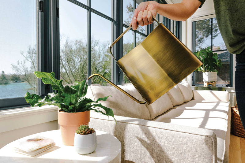 Modern Sprout Watering Can - Brass