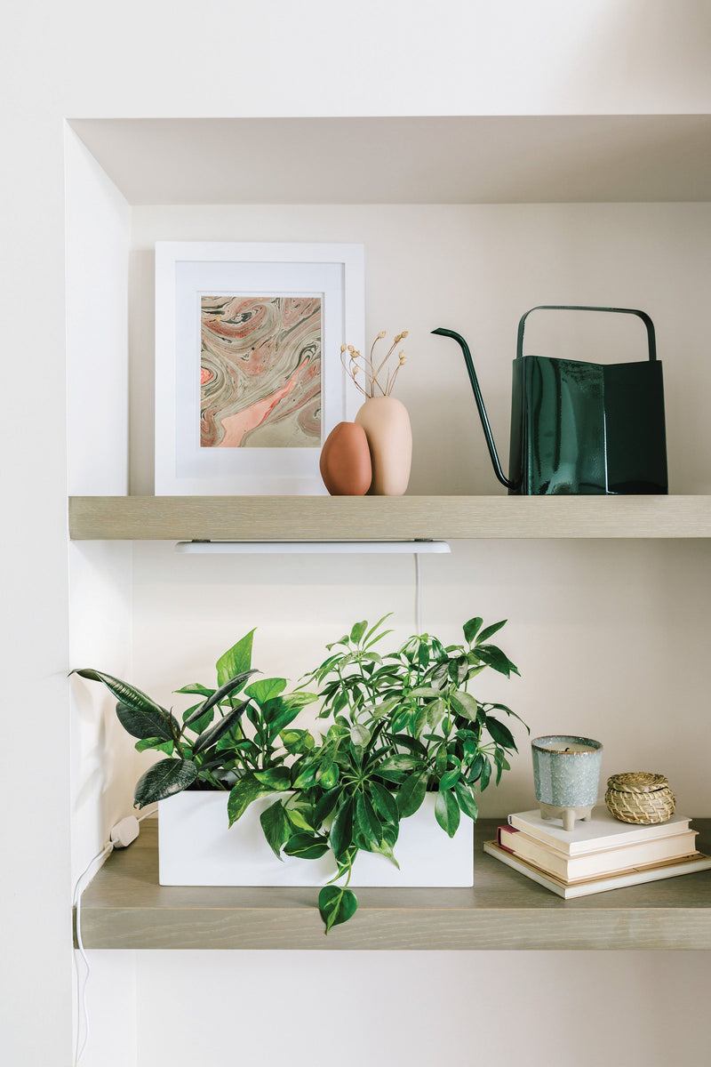Modern Sprout Smart Growbar